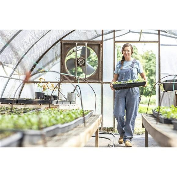 Women's Denim Bib Overall - Picture 6 of 7